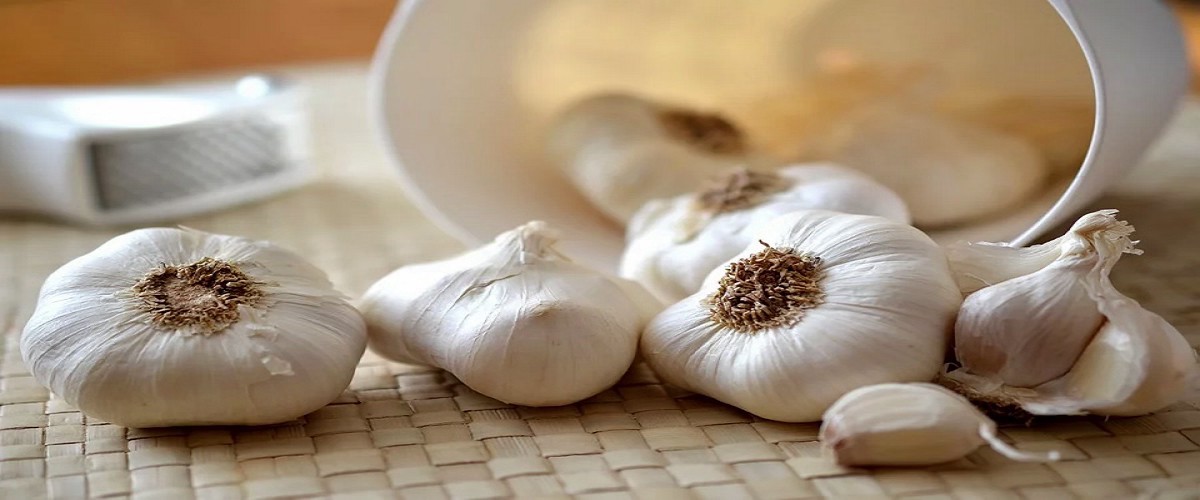 Garlic Tea, Immunity with Garlic, Garlic Uses, Benefits of Garlic