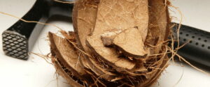 health benefits of coconut husk 