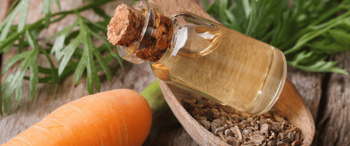 carrot oil benefits for skin
