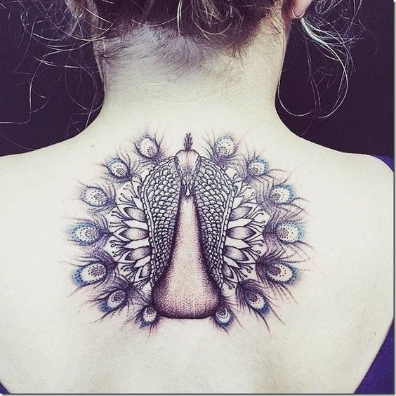 Peacock Tattoo Designs