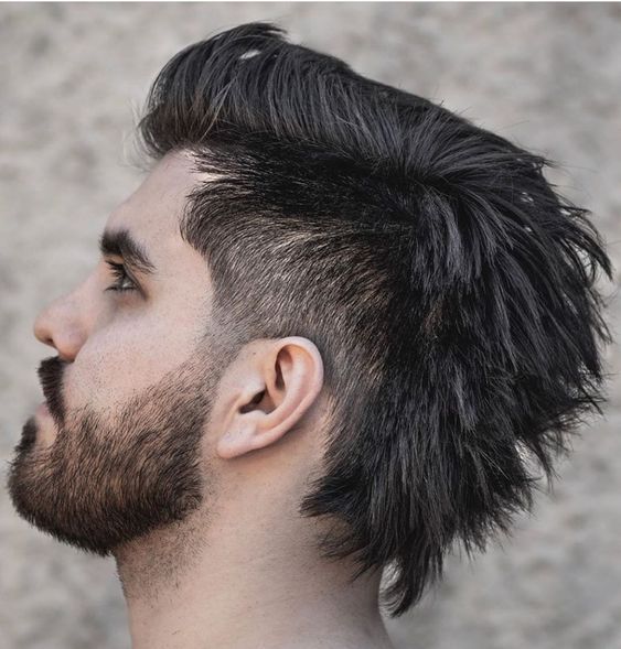 Indian male hairstyles 